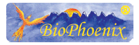 BioPhoenix® Technologie